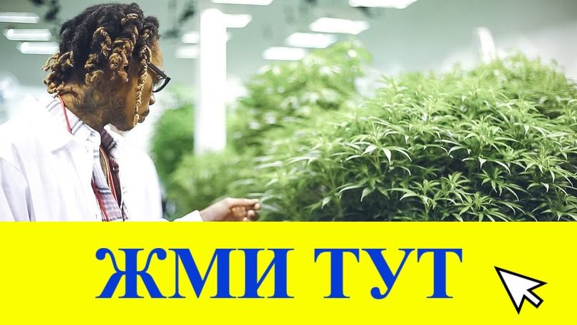 Купить наркотики в Кудымкаре